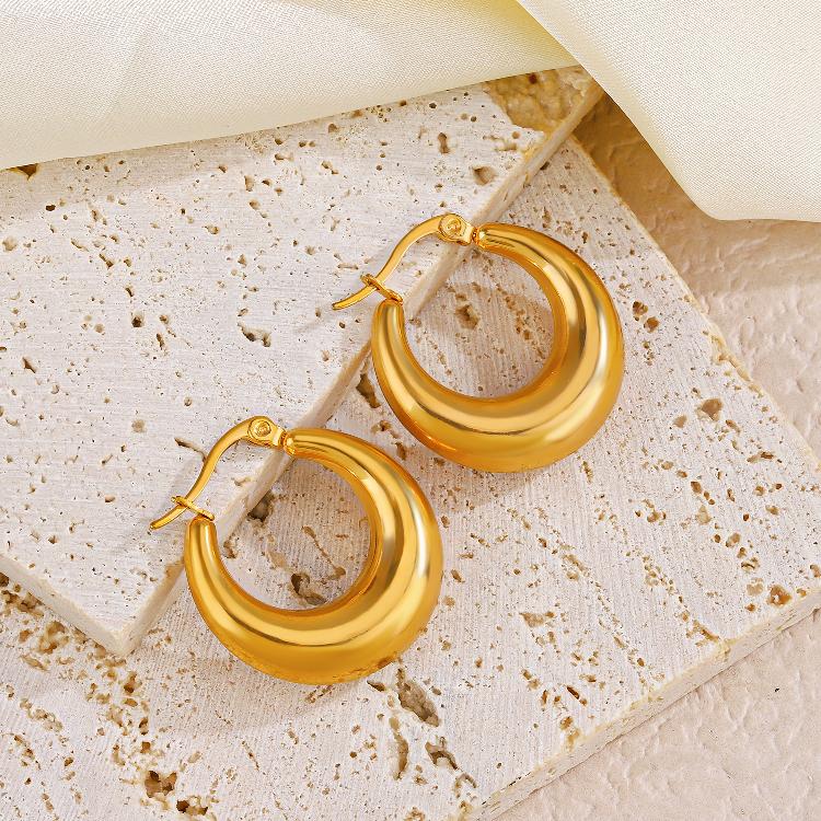 1 Pair Simple Style Round Plating 304 Stainless Steel 18K Gold Plated Hoop Earrings By Trendy Jewels